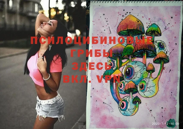 PSILOCYBIN Алексин
