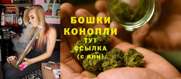 шишки Алексеевка