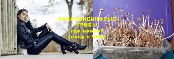 шишки Алексеевка
