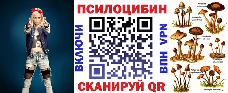 гидра вход  Севастополь  Псилоцибиновые грибы мухоморы  купить наркоту 